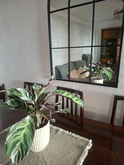 Casa de la abuelita — foto 10