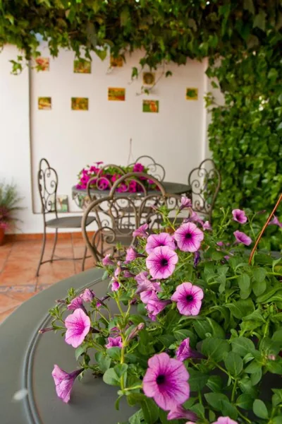 Casa de La Campana — 写真 11