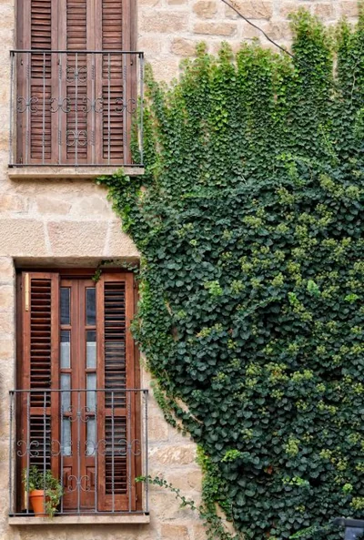 Casa de la Neveria — foto 10