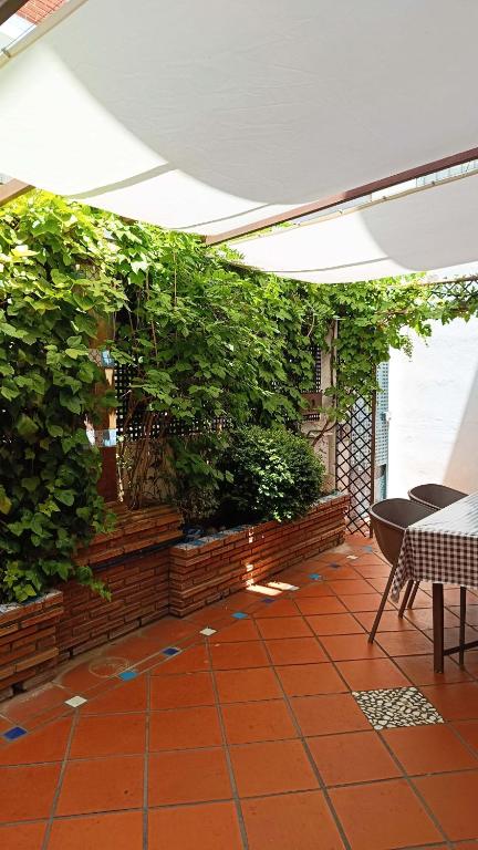 Casa de la Portuguesa, bonita terraza con barbacoa