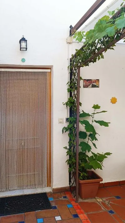 Casa de la Portuguesa, bonita terraza con barbacoa — foto 11