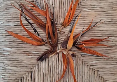 Casa de las Flores - Hotel Boutique Lanzarote — foto 5