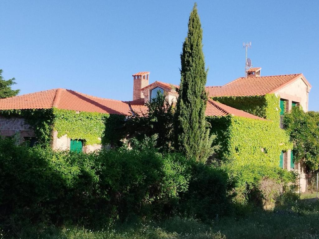 Casa de las Lavandas, Ávila