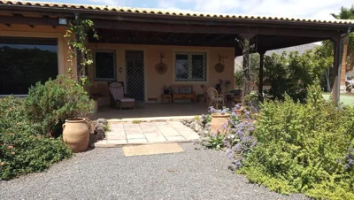 Casa del artista — photo 11