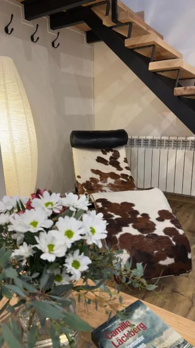 Casa del Concejo Segovia Aire acondicionado y jardín — foto 7