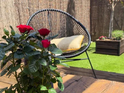 Casa del Concejo Segovia Aire acondicionado y jardín — foto 10