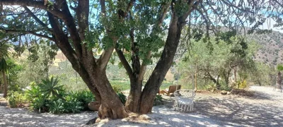 Casa del Sueño - Casitas met uitzicht — foto 11