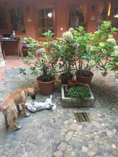 CASA DEOGRACIAS — foto 12