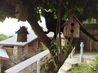 Casa do Bico — foto 8
