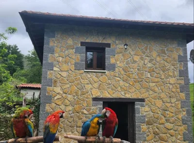 Casa Doña Lola — foto 9