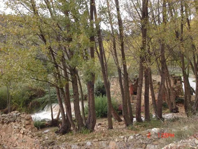 CASA EL AZUD — Foto 9