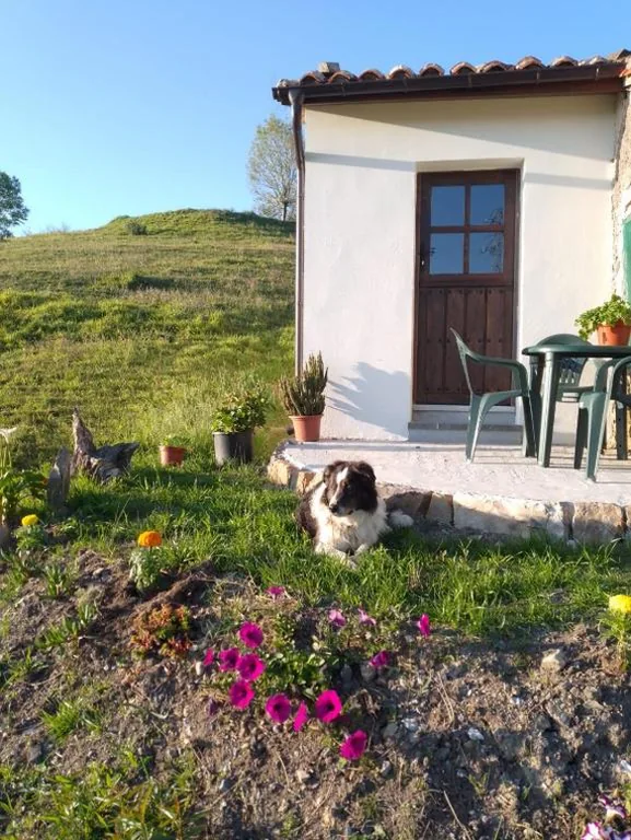 Haus mit 2 Schlafzimmern — Casa El Collau I