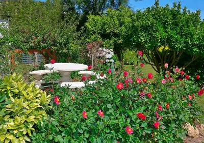Casa Elena Turismo Rural — foto 10