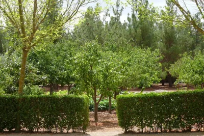 Casa en el campo con encanto — foto 10