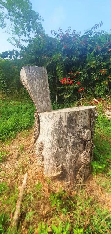 Casa com 1 quarto — Casa en Finca Ecológica - Wifi