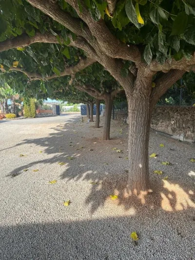 Casa en la naturaleza de Chella — photo 12