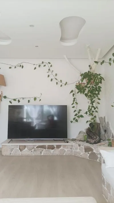 Casa Flora — foto 5