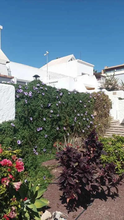 Casa Flora — foto 10