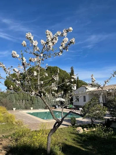 Casa Galiana. — 照片 7