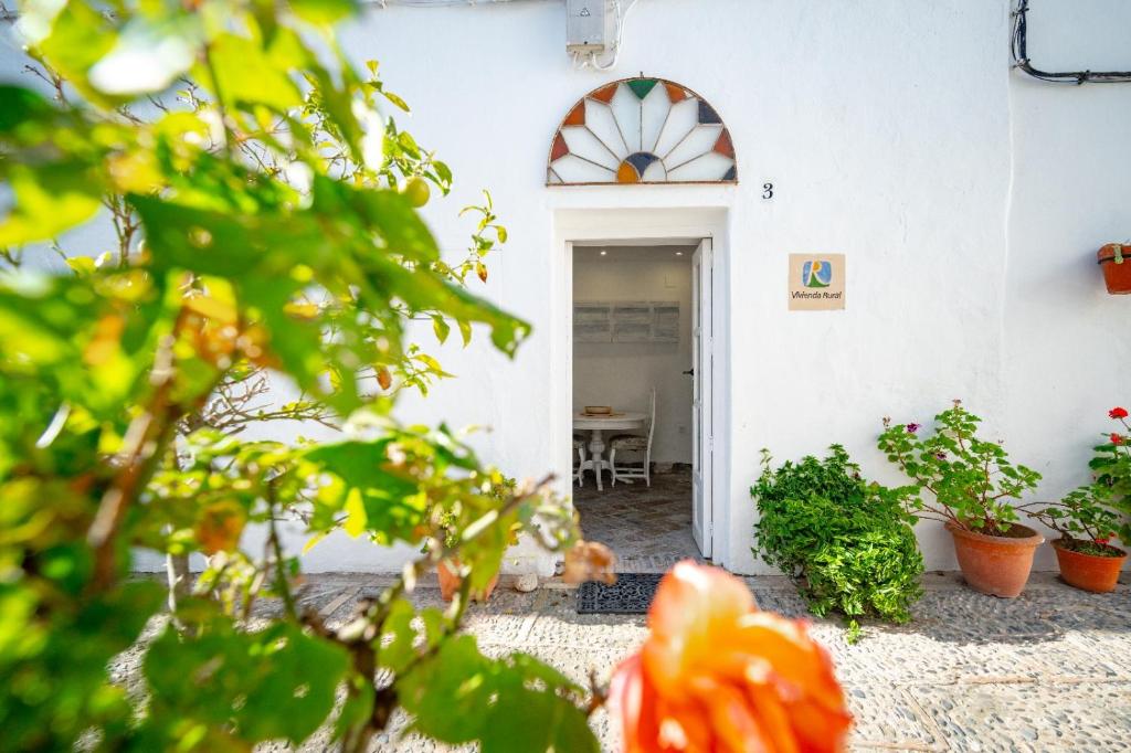 Casa Hibiscus