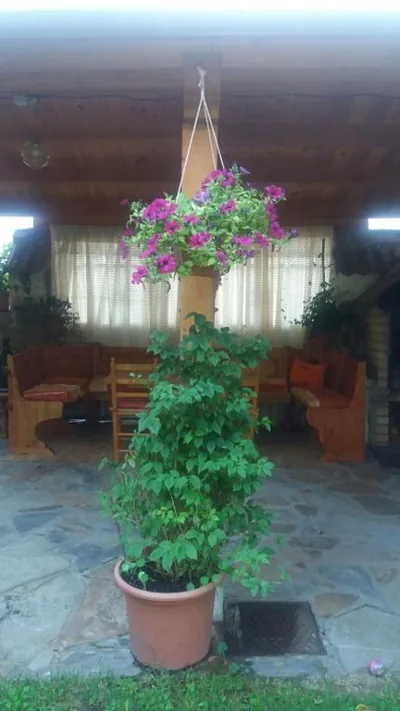 Casa Hostal Olga - Castilla y León — foto 12