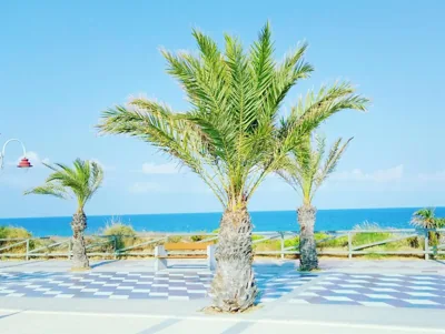 Casa Ilda (Gran Alacant) — 照片 7