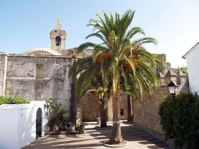 Casa Jaime — foto 7