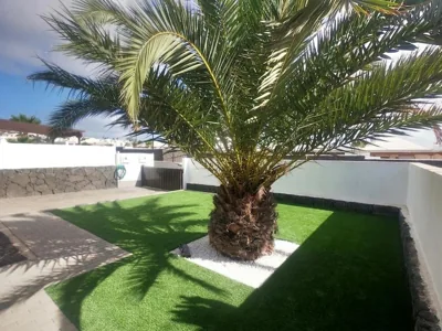 Casa Joy — photo 3