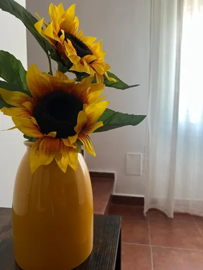 Casa Julio Tordesillas — foto 8