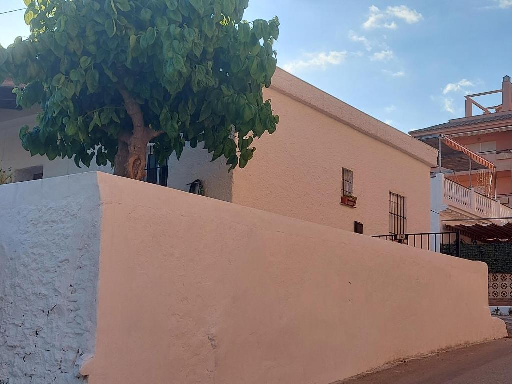 Casa La Morera