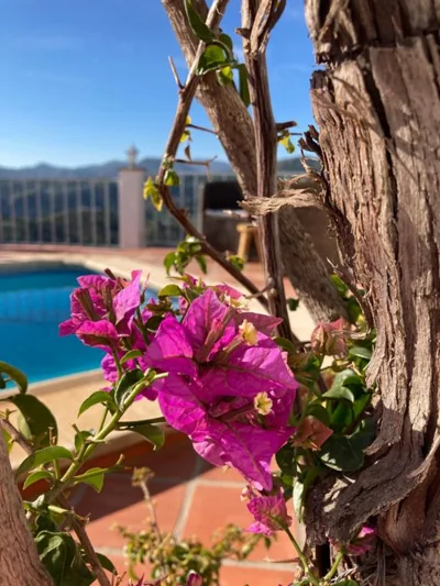 Casa la Quinta — 写真 9