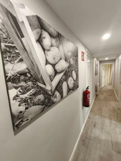 Casa Ladislada — photo 9