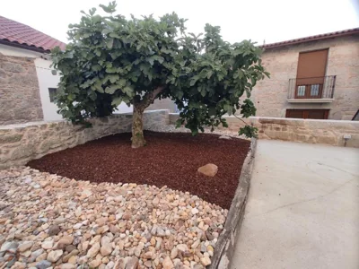 Casa Lagarto, (Ribeira Sacra), Taboada — foto 6