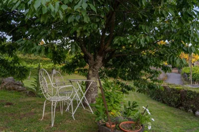 Casa Lameiro Redondela — foto 11