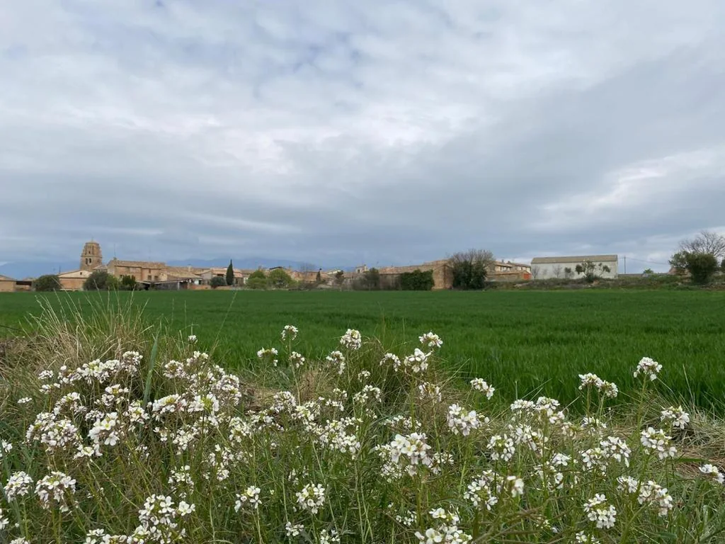 Casa con 2 camere da letto — Casa Larrosa rural en Sierra de Guara
