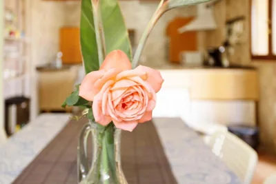 Casa Las Flores — foto 12