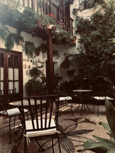 Casa longa — photo 11