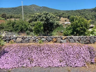 Casa Los Calderos — 写真 9
