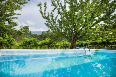 CASA LOS CEREZOS — foto 4