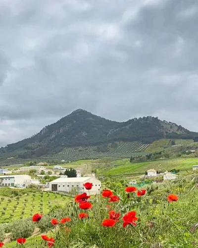 Casa Los García — 照片 6