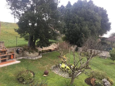 Casa Los Laureles — foto 10