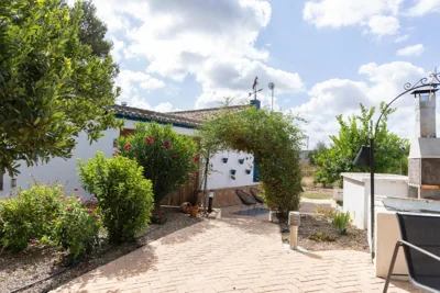 Casa los Laureles — foto 11