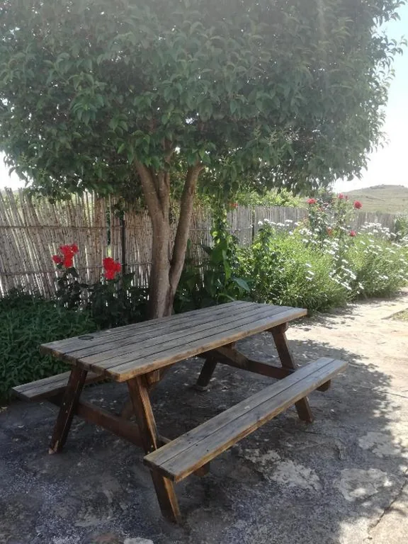 Huis met 3 slaapkamers — Casa Los Olivos