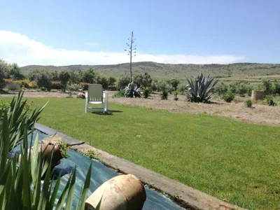 Casa Los Olivos — foto 6