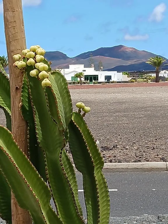 Haus mit 1 Schlafzimmer — Casa Los Volcanes