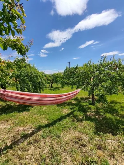 Casa Luka Etxea — foto 12