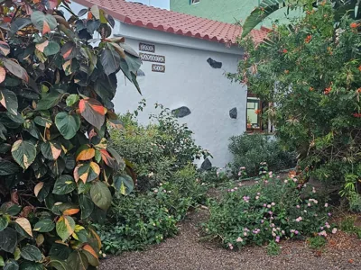 CASA MAMASICA — foto 10