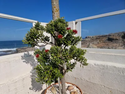 CASA MAR DA LAXE — photo 10