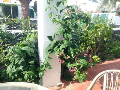 Casa Maracuyá- a 500m playa -no fumadores — foto 10