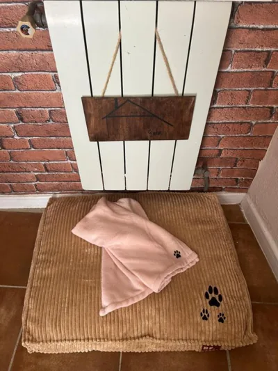 Casa Mencía — foto 11